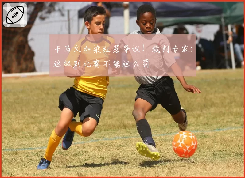 卡马文加染红惹争议！裁判专家：这级别比赛不能这么罚