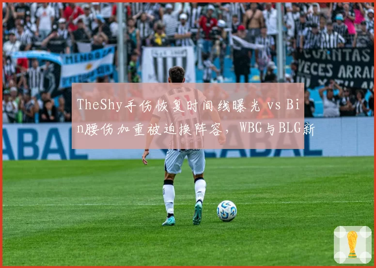 TheShy手伤恢复时间线曝光 vs Bin腰伤加重被迫换阵容，WBG与BLG新赛季前景分化