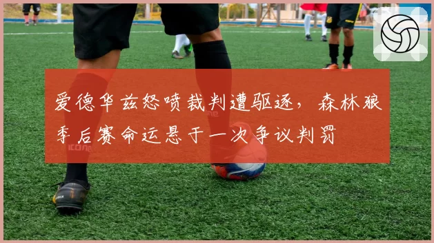 爱德华兹怒喷裁判遭驱逐，森林狼季后赛命运悬于一次争议判罚