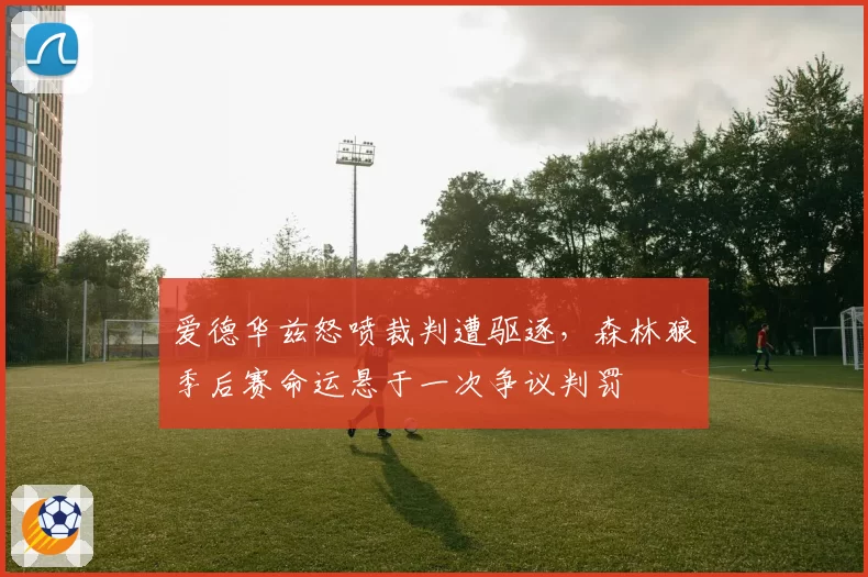 爱德华兹怒喷裁判遭驱逐，森林狼季后赛命运悬于一次争议判罚
